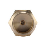 MEASUREMAN Lead-Free RV Brass Blow Out Plug for Winterizing and Dewinterizing - Effectively Clears RV Water Lines, Durable and Safe Design (2pc)